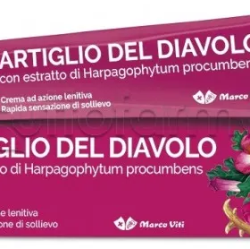 ARTIGLIO DEL DIAVOLO CREMA 100ml