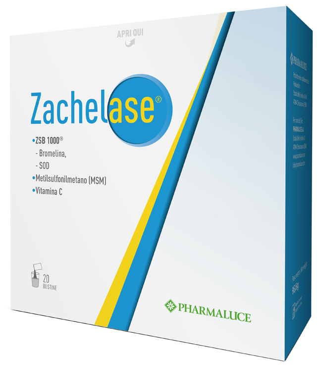 ZACHELASE 20BUSTE