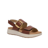 SCILLA SYNSYN W BROWN 39